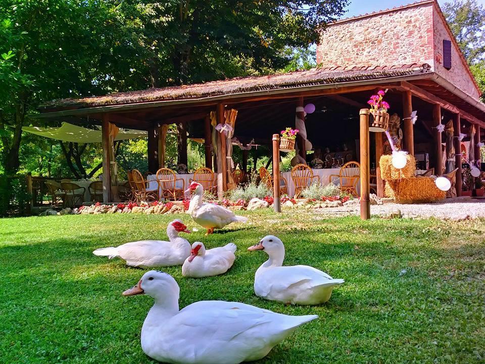 Agriturismo Il Mulino Delle Pile Chiusdino Extérieur photo
