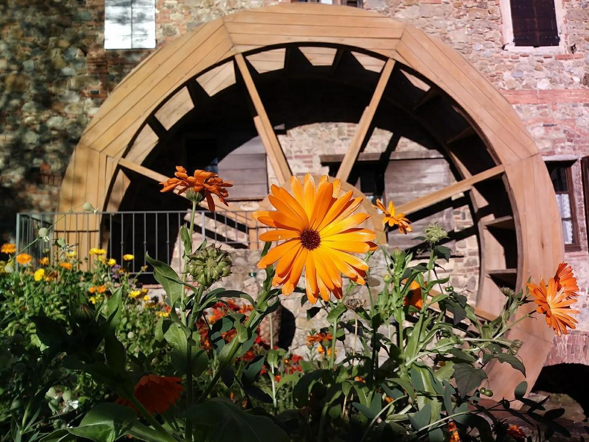 Agriturismo Il Mulino Delle Pile Chiusdino Extérieur photo