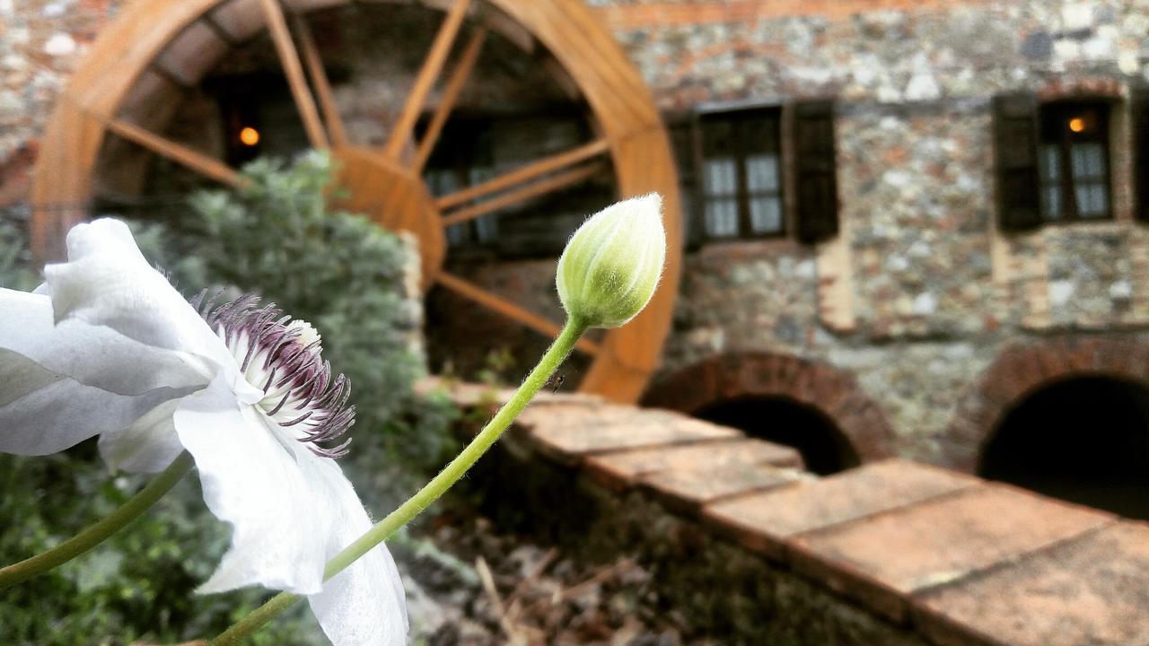 Agriturismo Il Mulino Delle Pile Chiusdino Extérieur photo